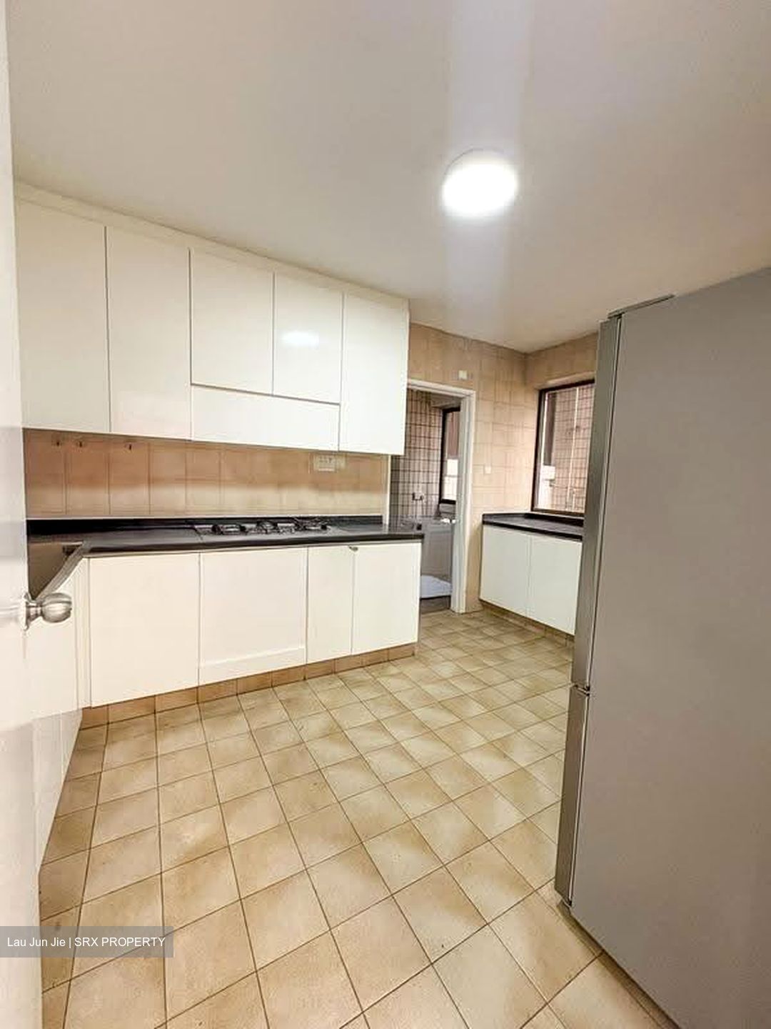The Cairnhill (D9), Condominium #624603231